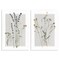 Stupell Industries Delicate Wildflower Herb Sprigs Wall Plaque Art